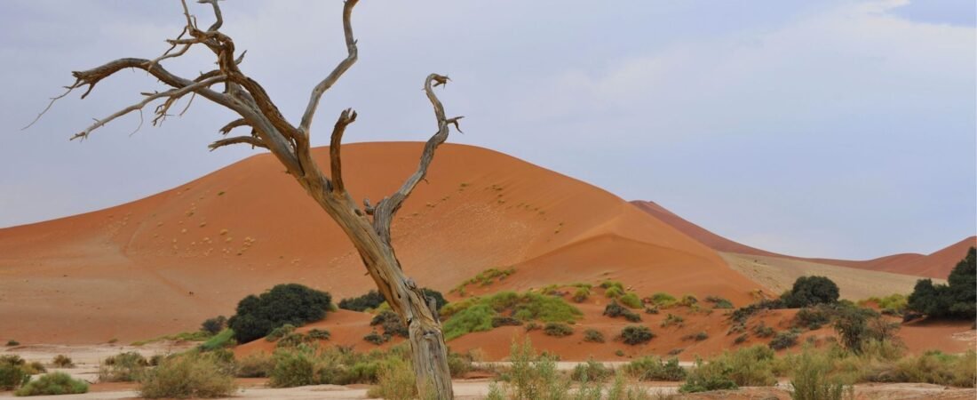 The Quiet Season: Why Shoulder Months Make the Best Remote Escapes