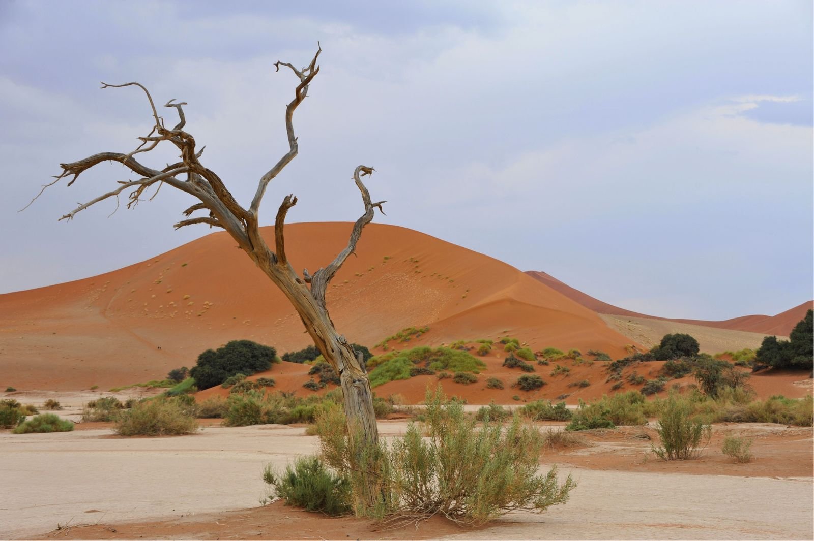 The Quiet Season: Why Shoulder Months Make the Best Remote Escapes